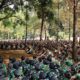 Yonif 330/Tri Dharma Buka Seleksi Tahap I Satgas BGC TNI Konga XXXIX-I/MONUSCO