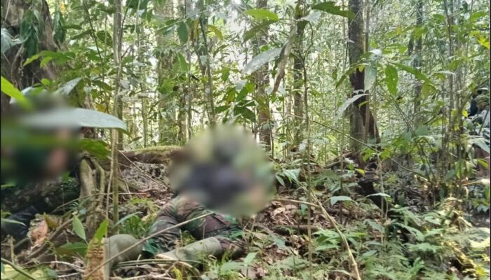 Kontak Tembak di Maybrat, Tiga Anggota Kelompok Bersenjata OPM Dilaporkan Meninggal Dunia