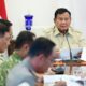 Panglima TNI Hadiri Ratas Penanganan Karhutla, Pemerintah Perkuat Upaya Pemadaman