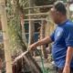 Lapas Banjarmasin Kembangkan Pembinaan Pertanian melalui Budidaya Semangka di SAE 1