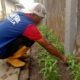 WBP Lapas Banjarmasin Pelajari Tahapan Budidaya Kangkung untuk Bekal Masa Depan